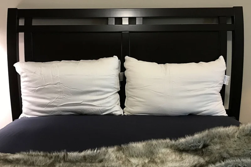 Cozy Earth Silk Pillow