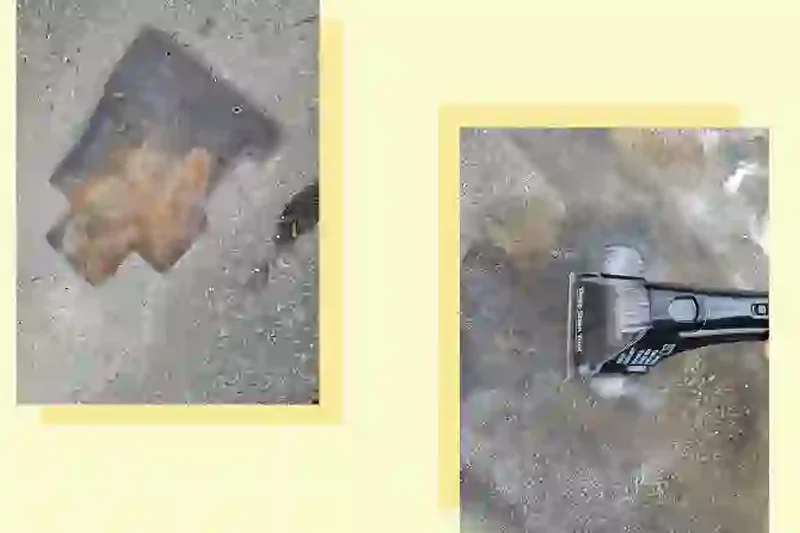 Bissell Little Green Pro Pet