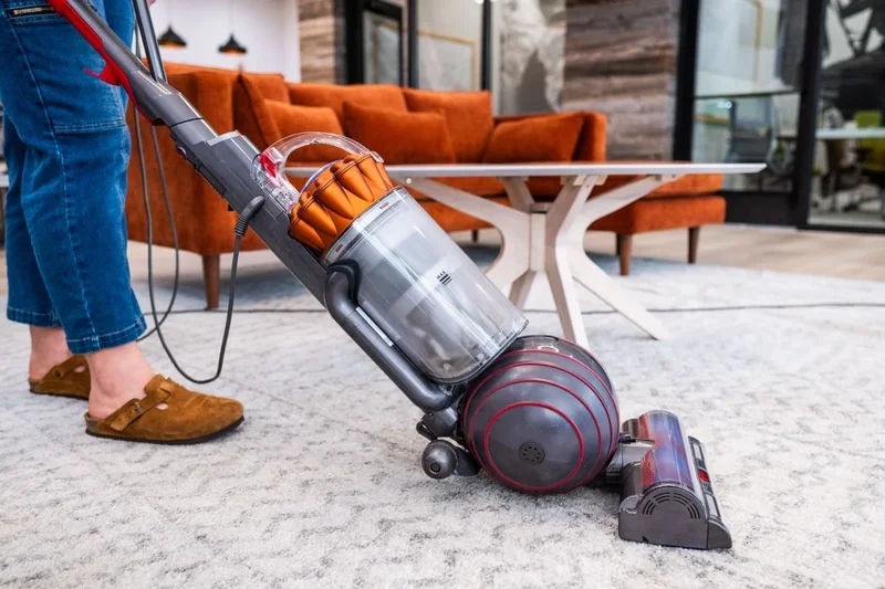 Dyson Ball Animal 3 Extra