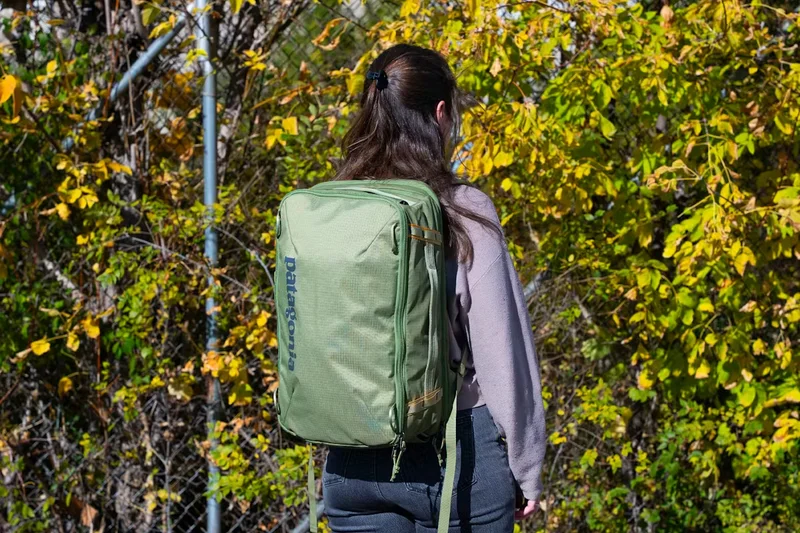 Patagonia Black Hole Mini MLC 30L