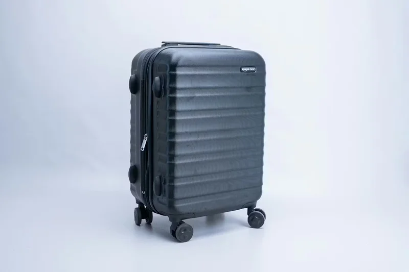 Amazon Basics 20-Inch Hardside Spinner