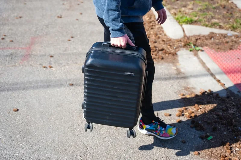 Amazon Basics 20-Inch Hardside Spinner