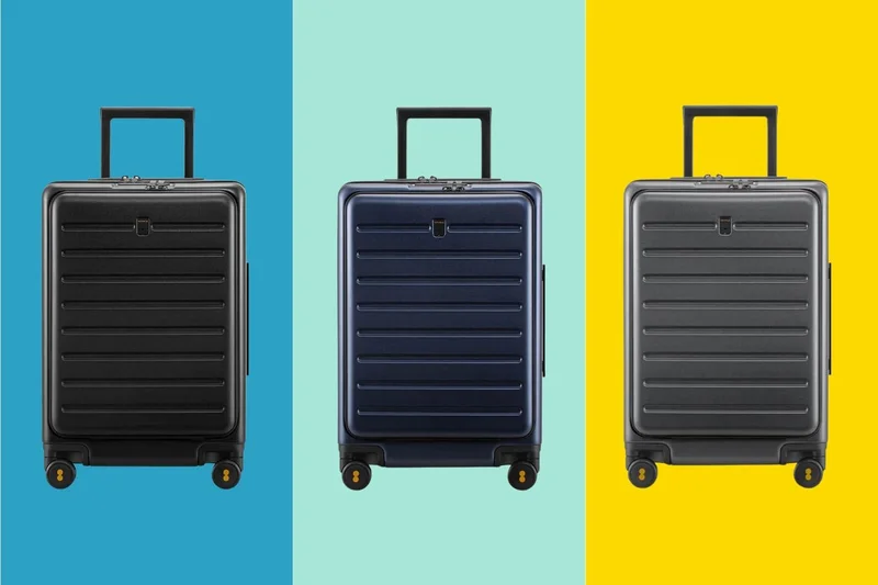 Road Runner Carry-on