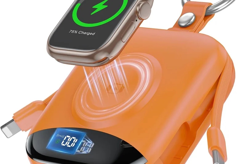 INIU Multi P21 30W Power Bank