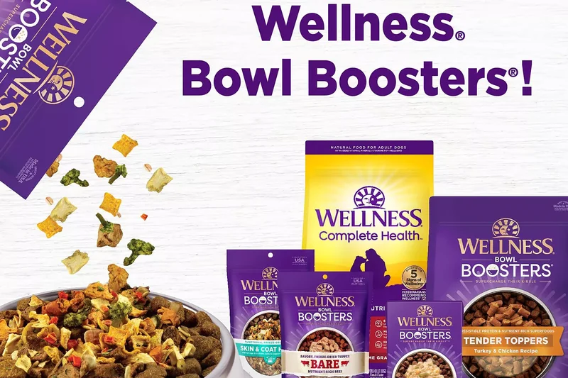 Wellness Complete Health