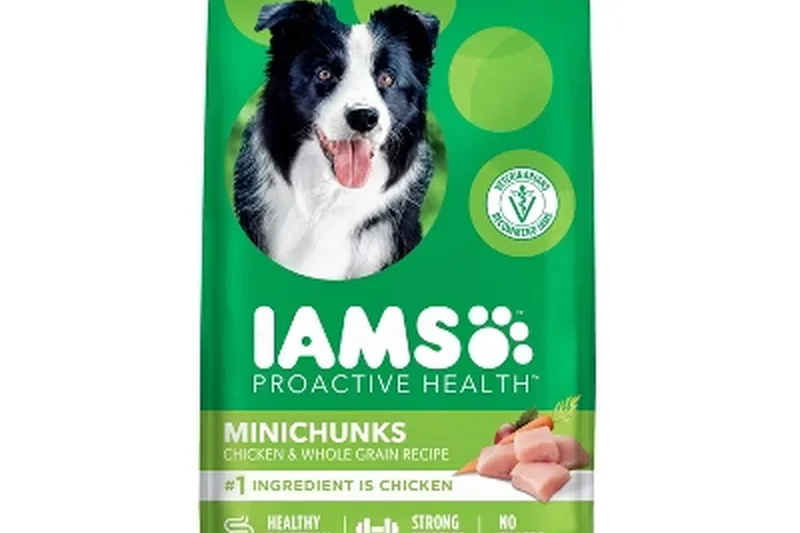 Iams ProActive Health Minichunks Dry Dog Food