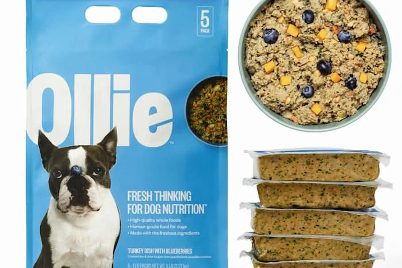 Ollie Fresh Turkey Dish with Blueberries