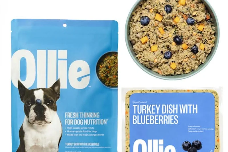 Ollie Fresh Turkey Dish with Blueberries