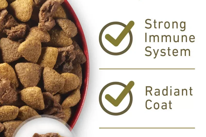 Purina ONE SmartBlend Natural Chicken &amp; Rice Formula