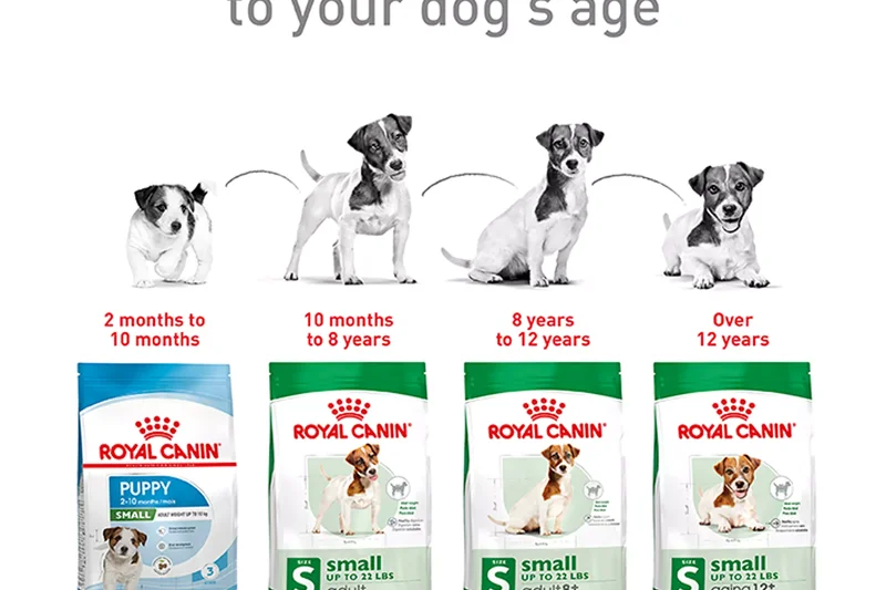 Royal Canin Small Adult Dry Dog Food